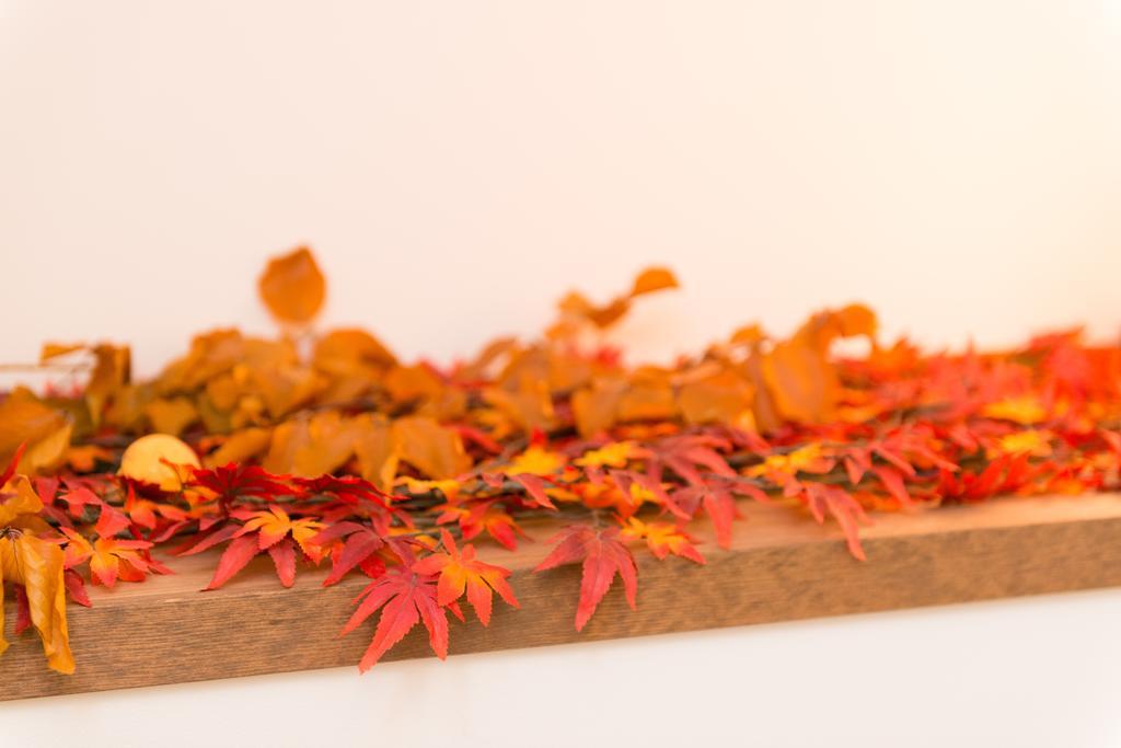 Seijyaku No Ie Villa Kyoto Ngoại thất bức ảnh